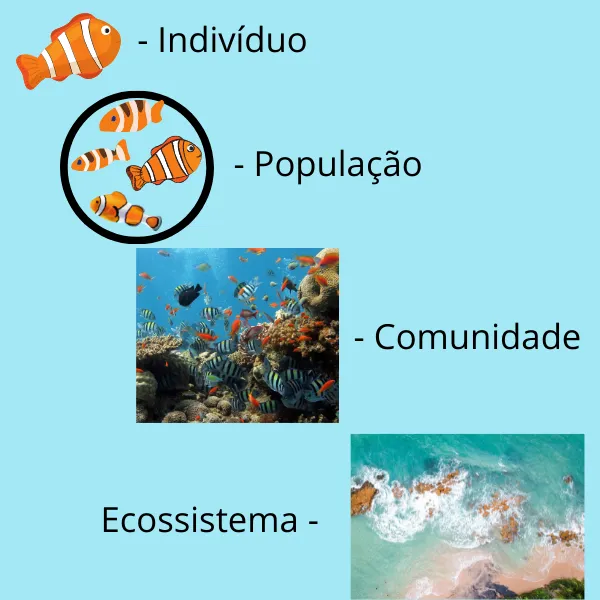 Imagem ilustrativa do exercício - clique para ampliar