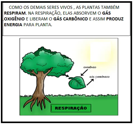Imagem ilustrativa do exercício - clique para ampliar