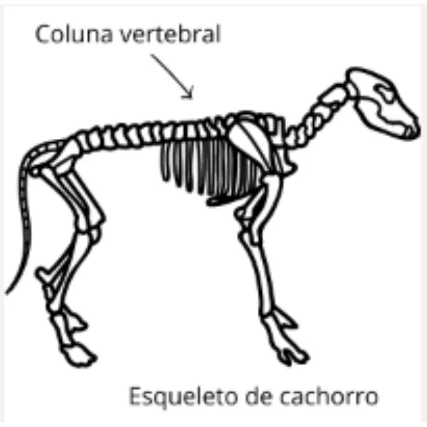 Imagem ilustrativa do exercício - clique para ampliar