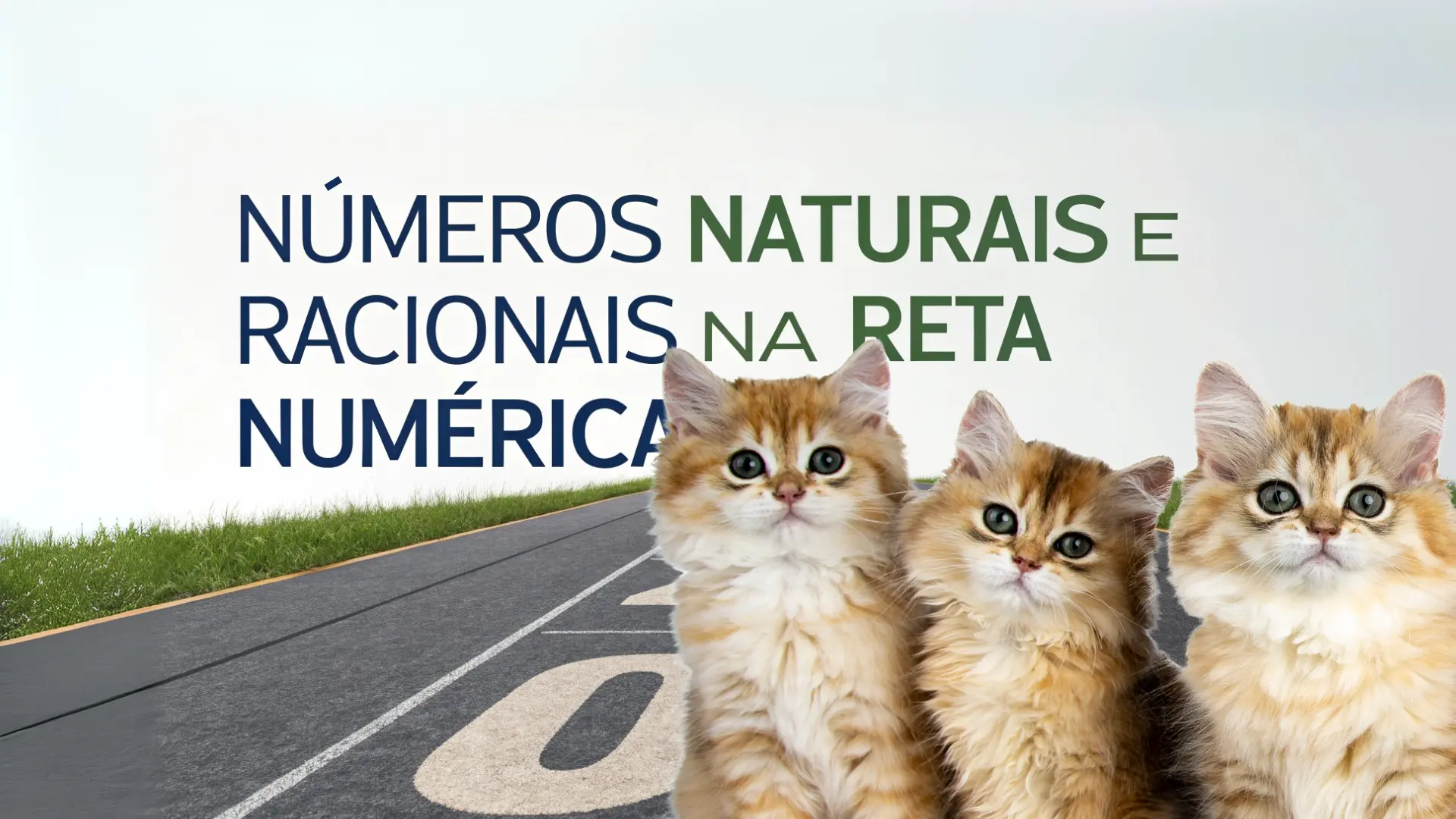 Números Naturais e Racionais na Reta Numérica