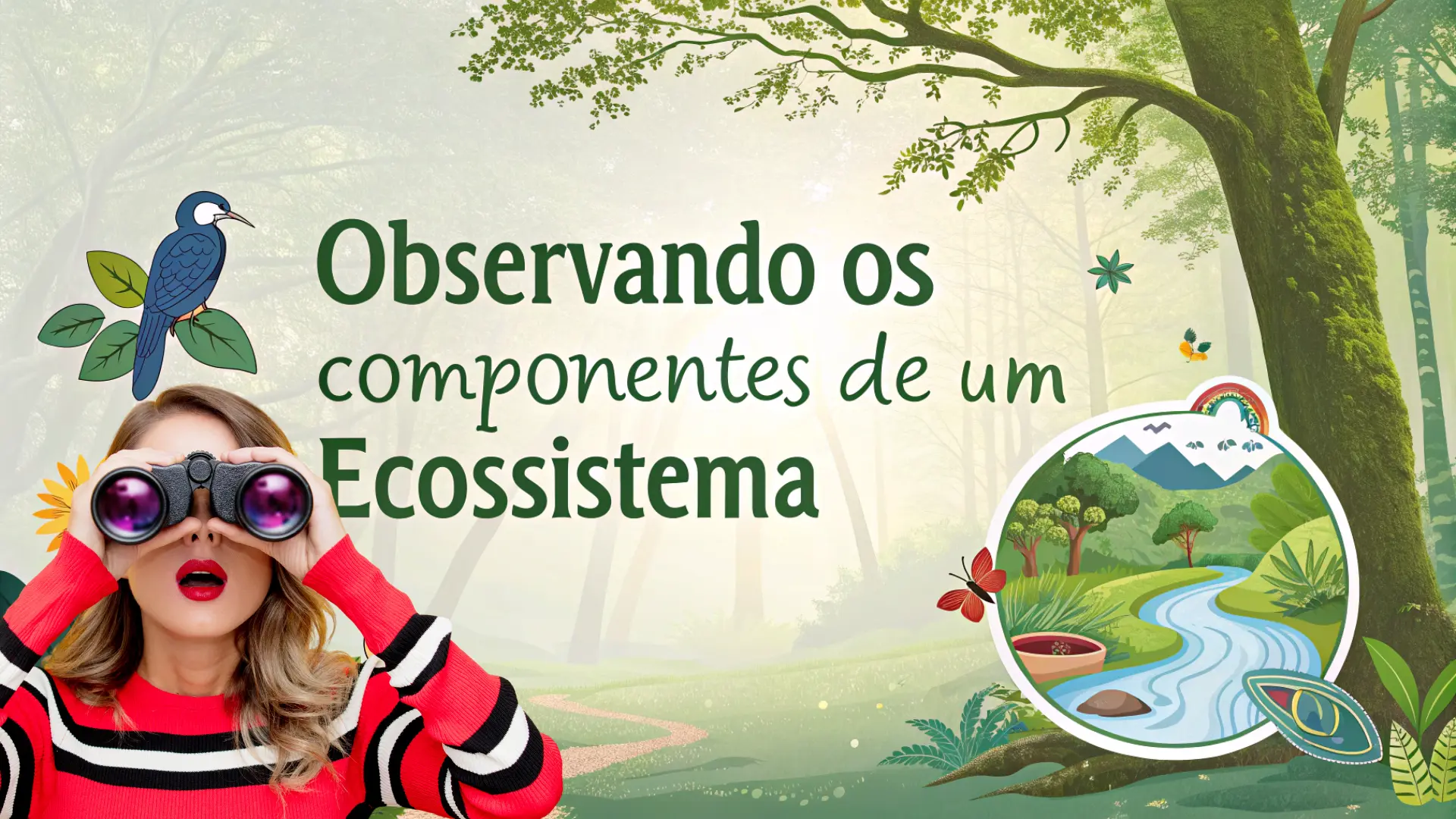 Observando os Componentes de um Ecossistema