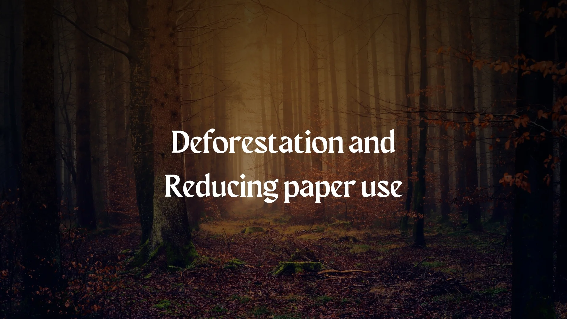 Grade 4 - Deforestation and  Reducing paper use