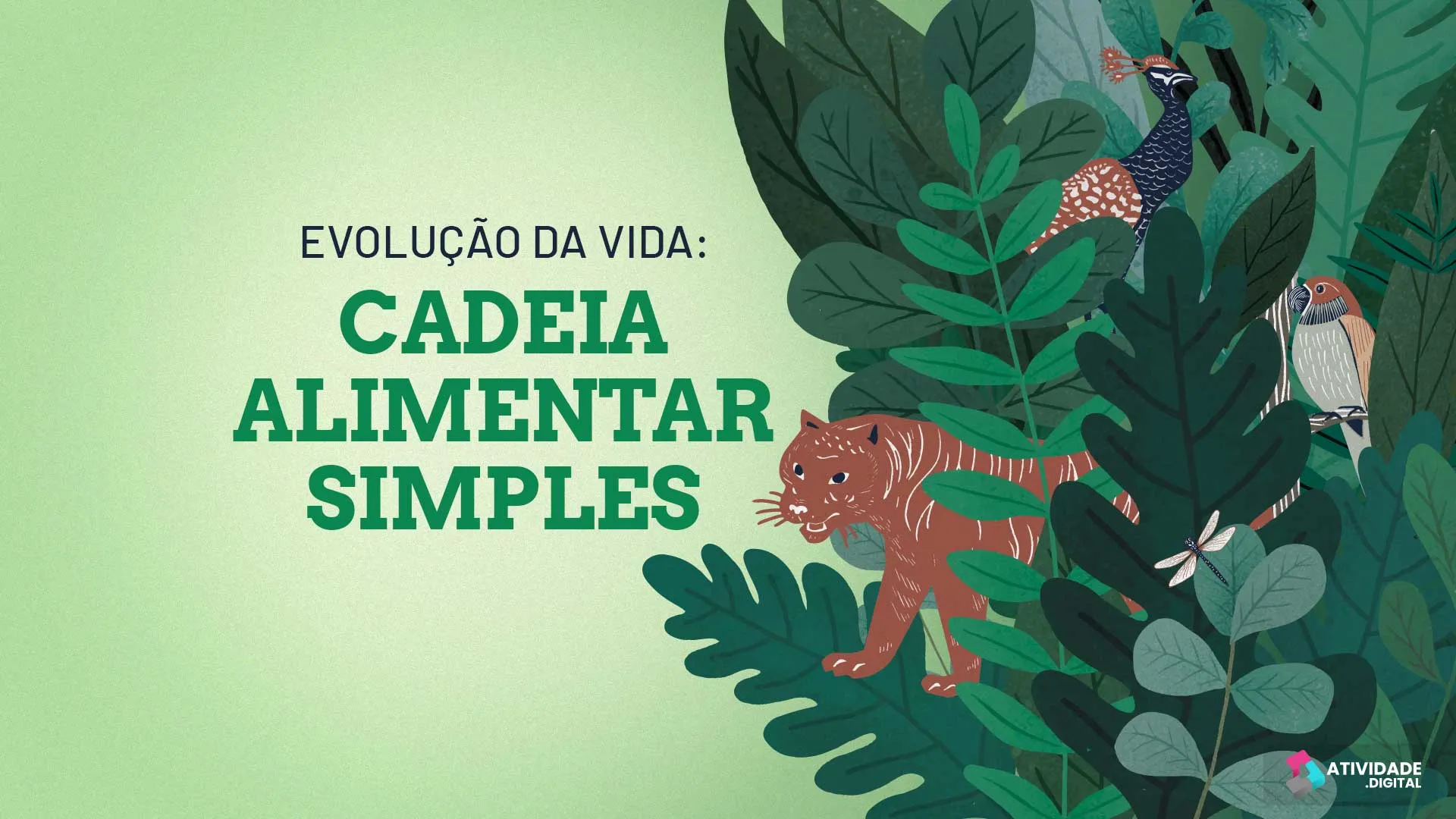 Evolução da vida: cadeia alimentar simples