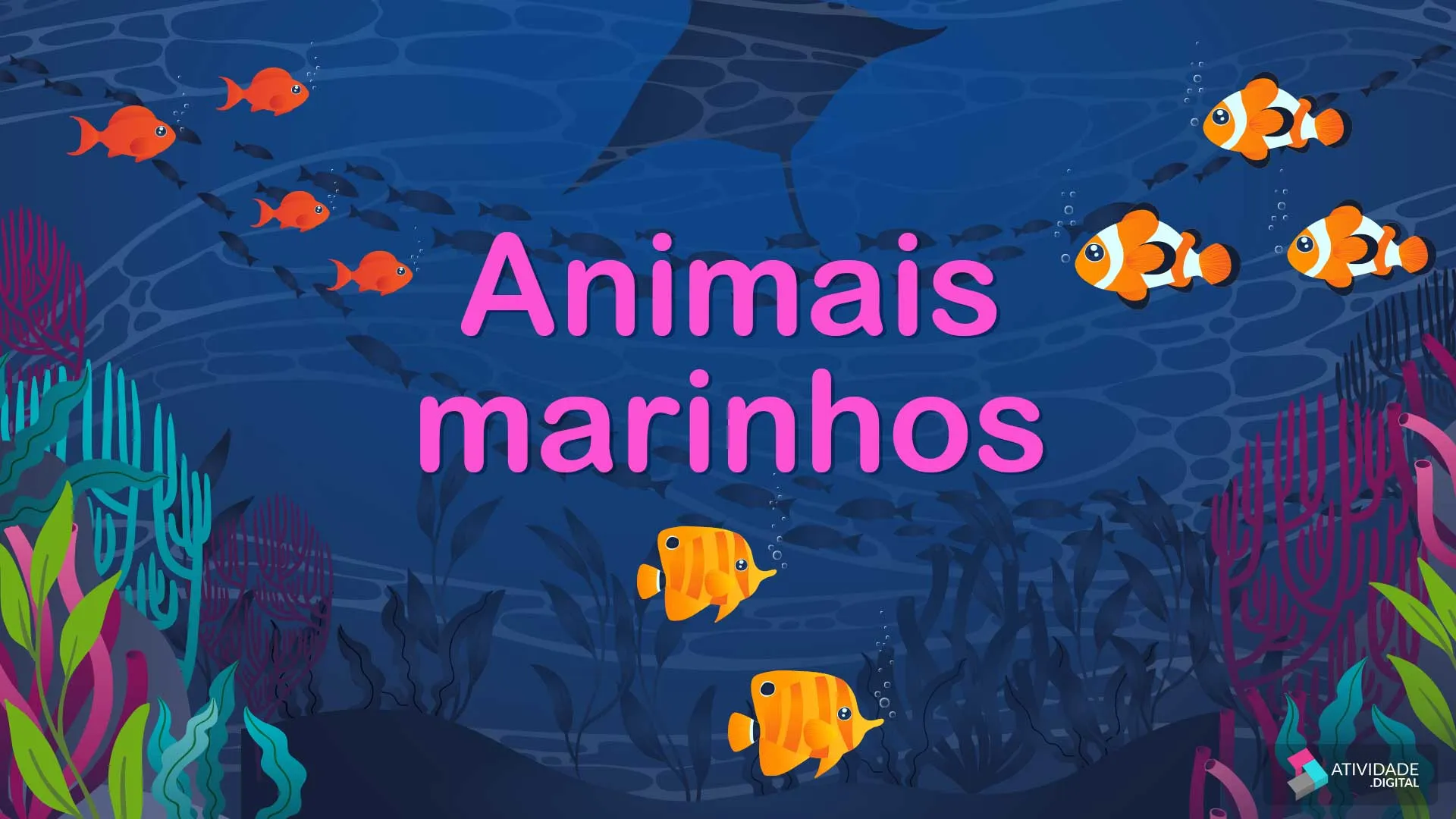 Animais marinhos 