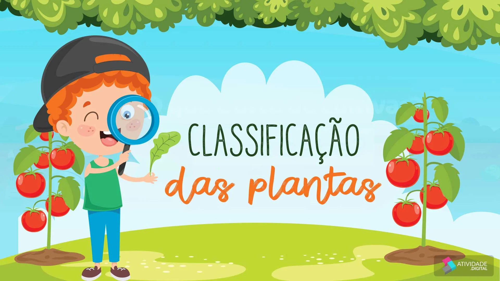 Classificação das  plantas