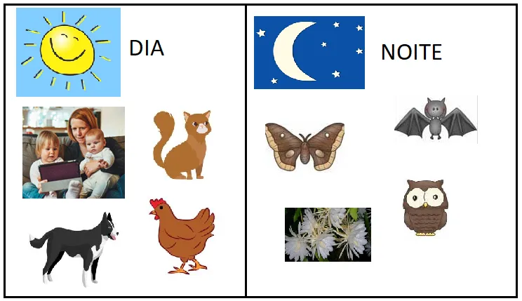 Imagem da questão