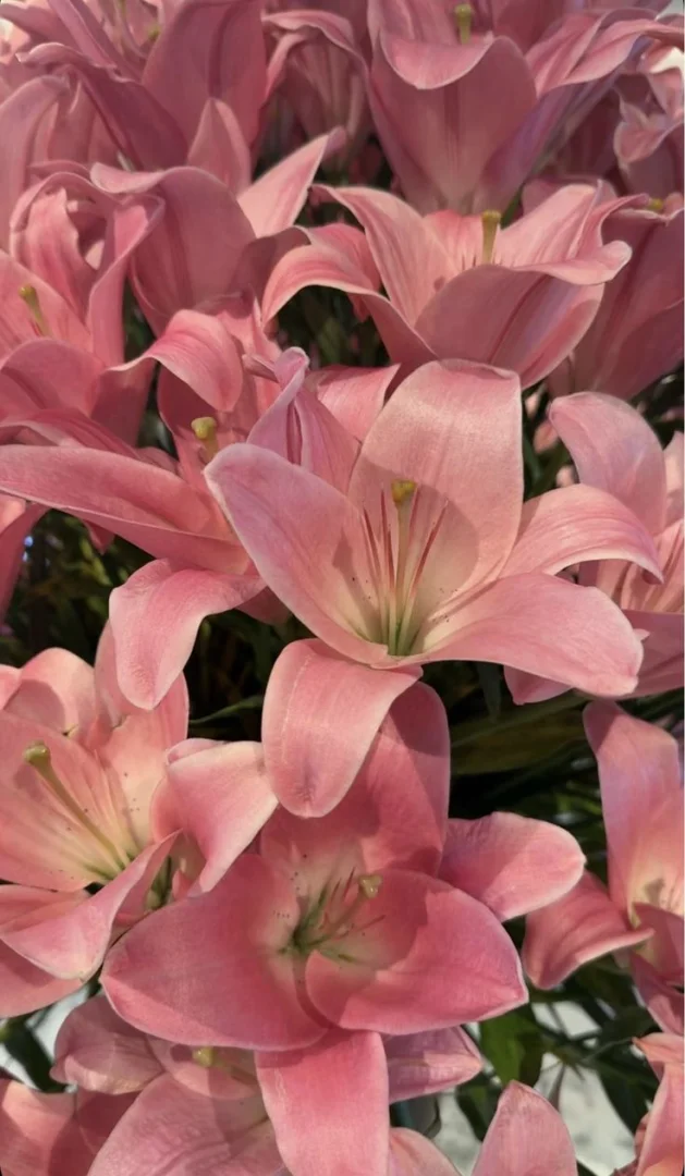 atividade sobre conjunção