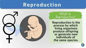 Reproduction