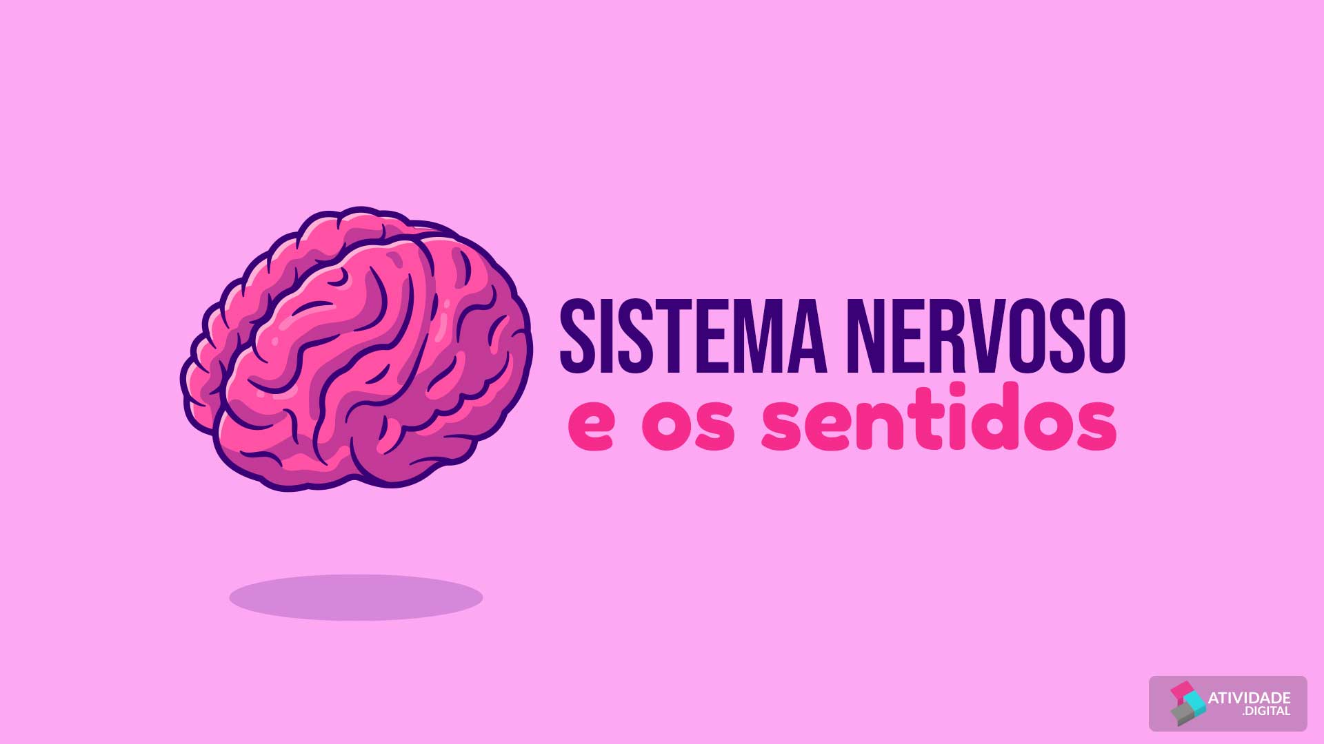 Atividades Sobre Sistema Nervoso - Ensino Fundamental. 503