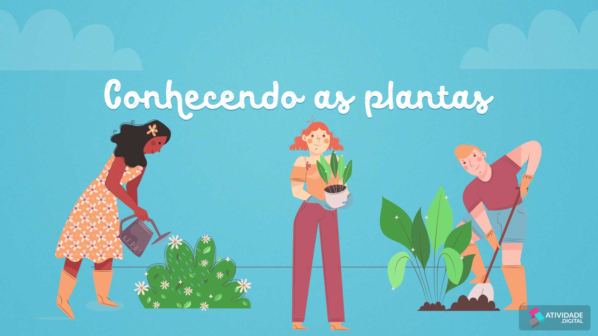Conhecendo as plantas