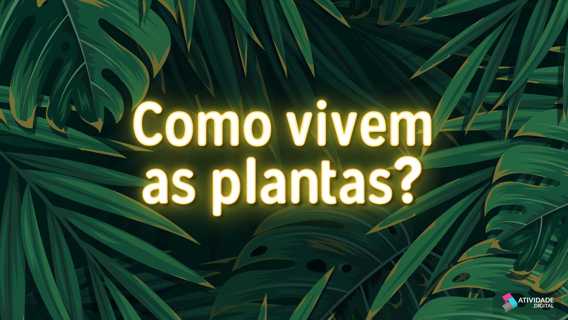 Como vivem as plantas?