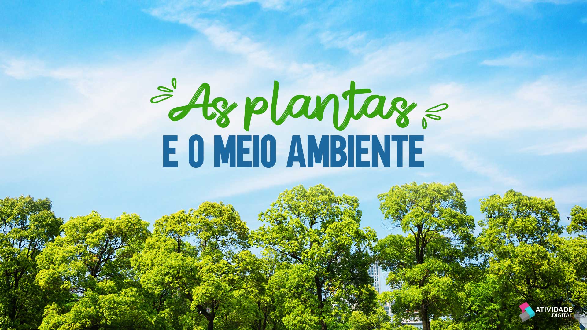 As plantas e o meio ambiente