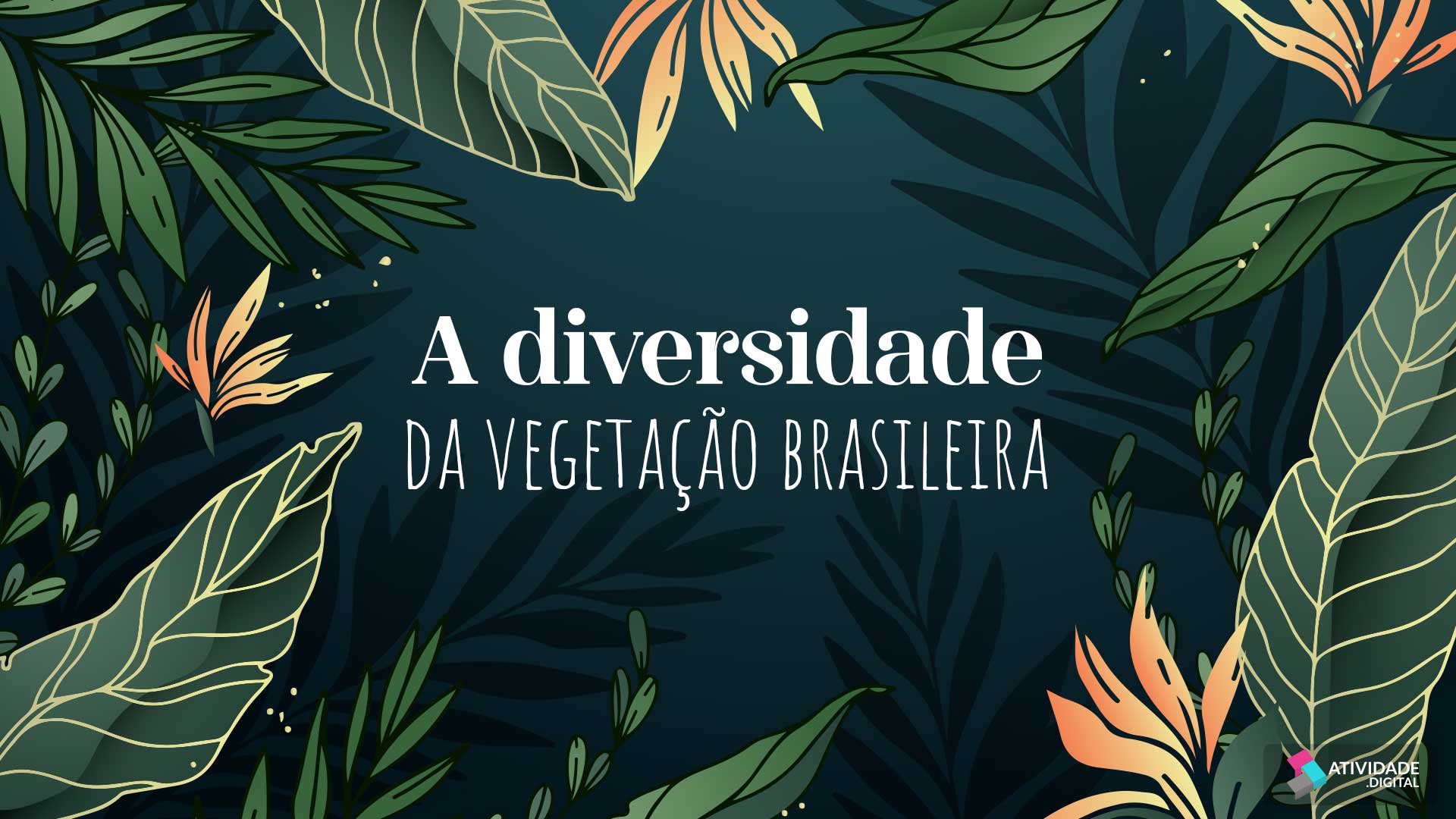 A diversidade da vegetação brasileira