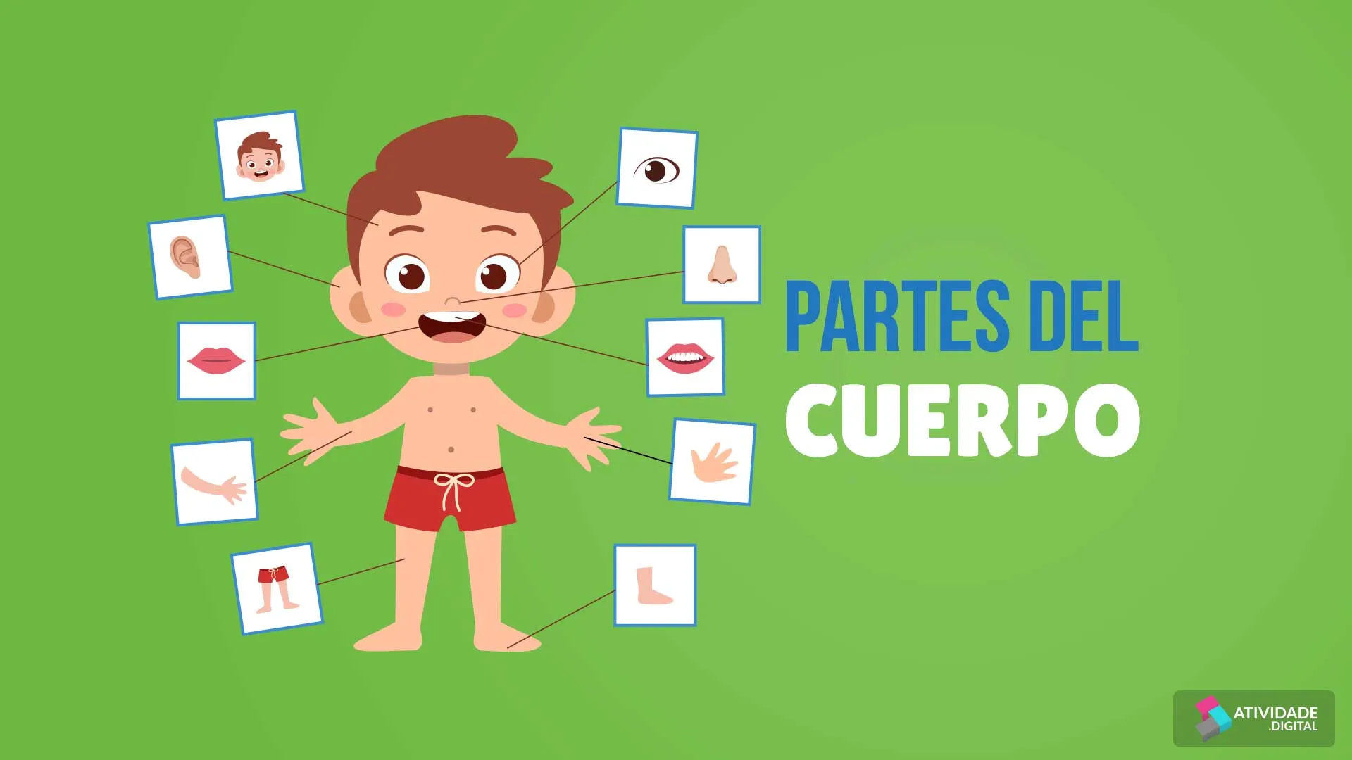 PARTES DEL CUERPO