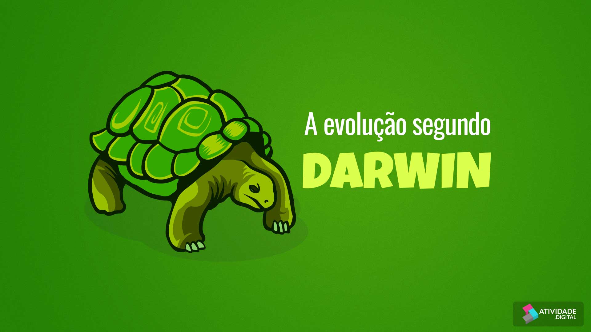 A evolução segundo Darwin