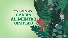 Jogo Evolução da vida: cadeia alimentar simples