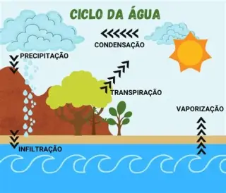 O Ciclo da Água no Solo - Jogo educativo