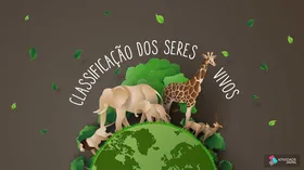 Classificação dos seres vivos - Jogo educativo