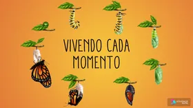 Vivendo cada momento