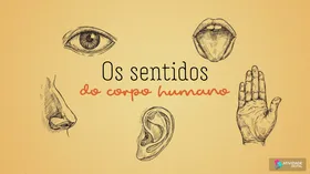 Os sentidos do corpo humano - Jogo educativo
