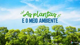 As plantas e o meio ambiente - Jogo educativo