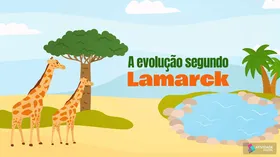 A evolução segundo Lamarck - Jogo educativo