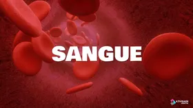  Sangue
