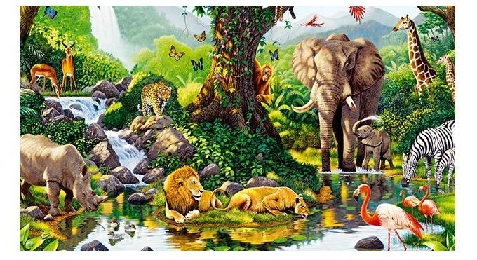 Trilha de Aprendizagem - Avaliação 01. 1o Ano